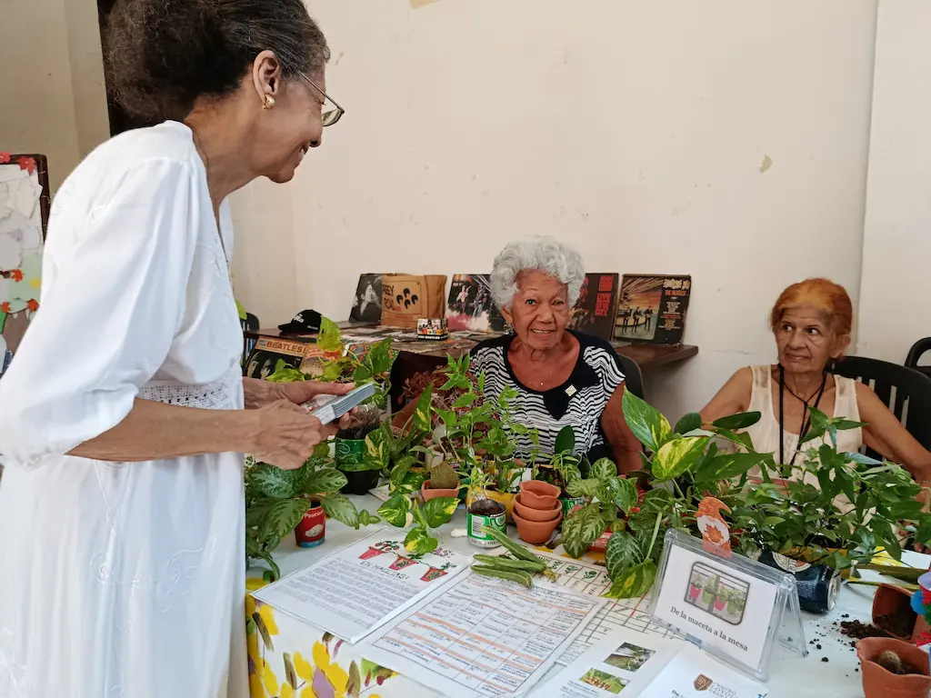 cierre de talleres Proyecto Otoño en Loyola